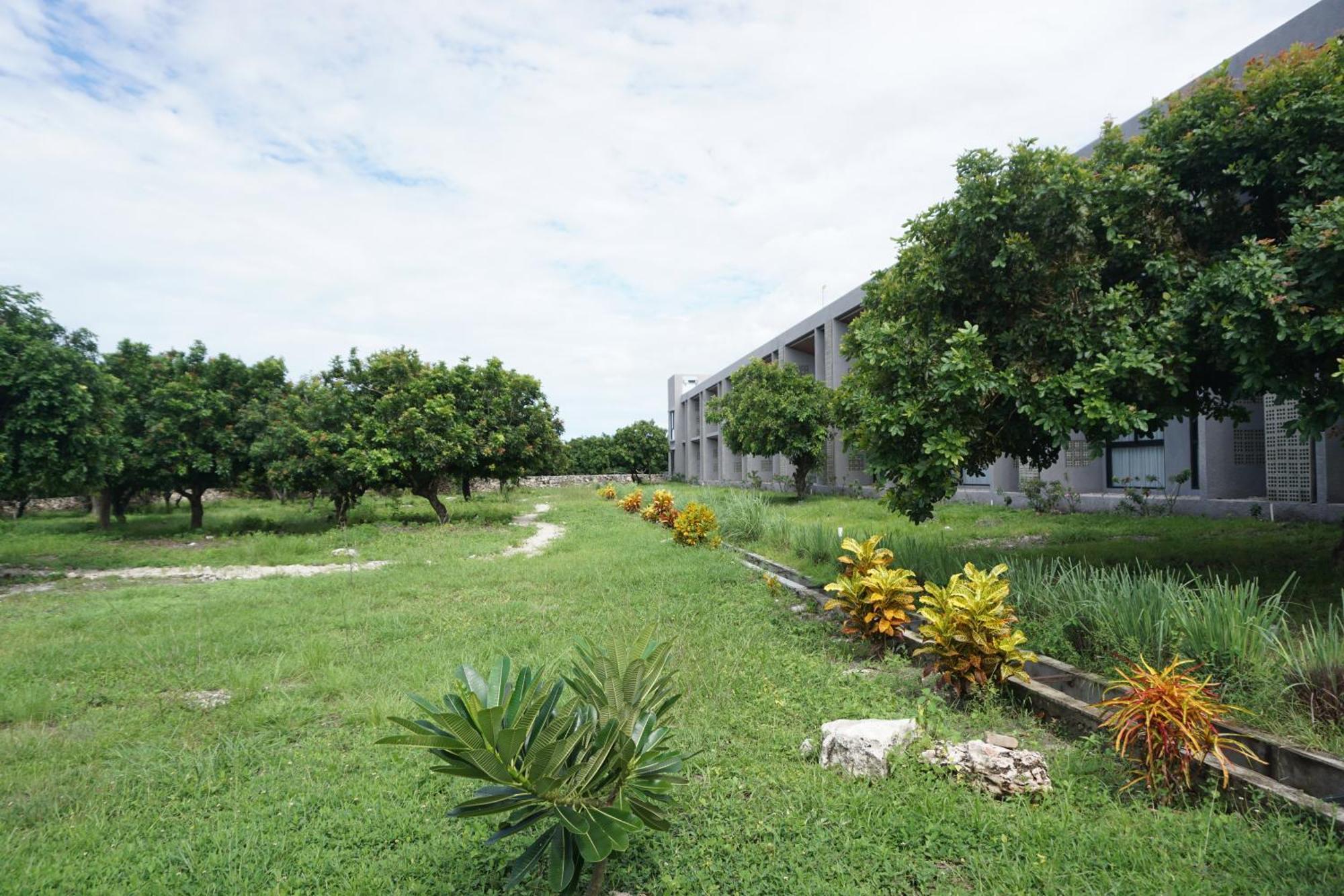 Kambaniru Beach Hotel And Resort Waingapu Buitenkant foto