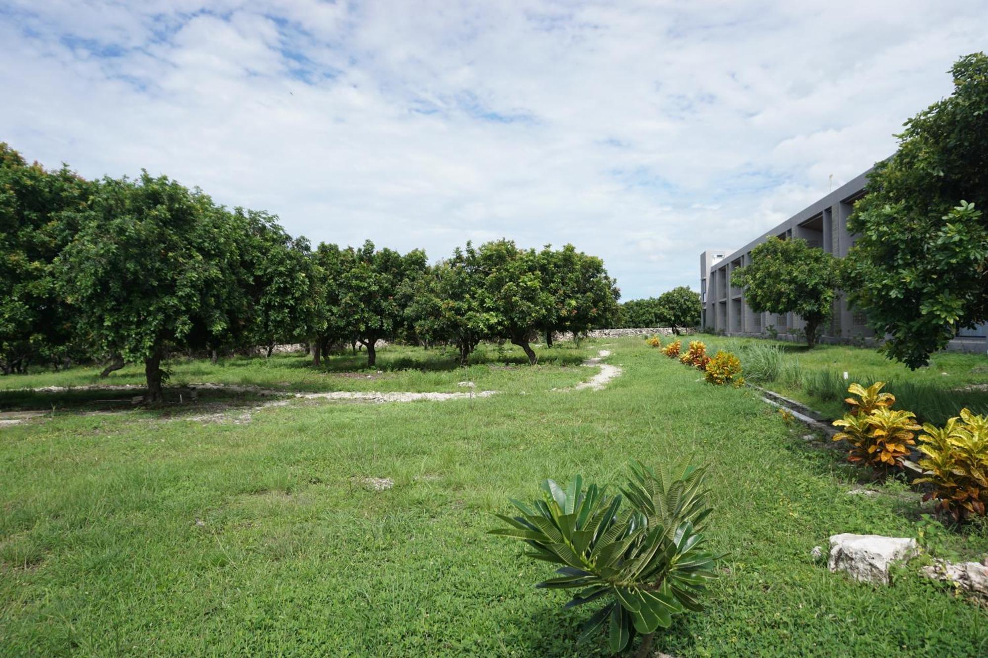 Kambaniru Beach Hotel And Resort Waingapu Buitenkant foto
